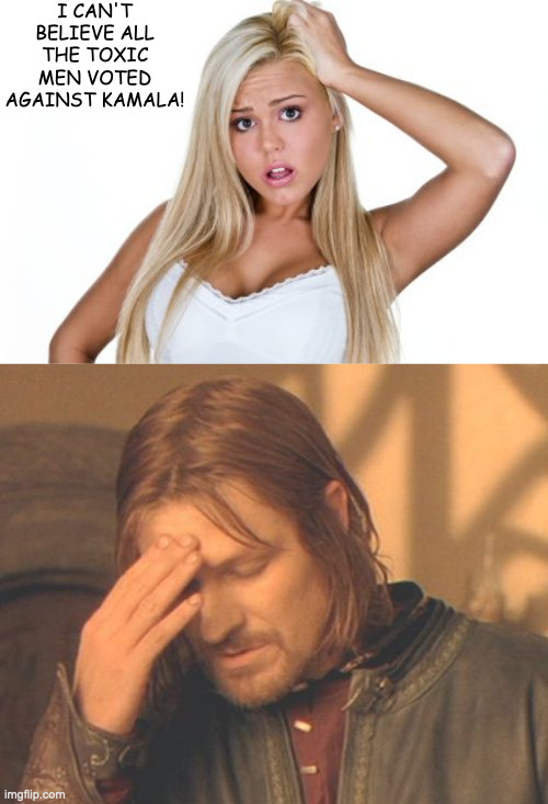 Dumb Blonde Frustrated Boromir | I CAN'T BELIEVE ALL THE TOXIC MEN VOTED AGAINST KAMALA! | image tagged in dumb blonde frustrated boromir | made w/ Imgflip meme maker