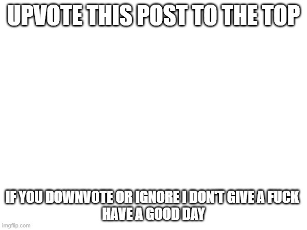 upvote | UPVOTE THIS POST TO THE TOP; IF YOU DOWNVOTE OR IGNORE I DON'T GIVE A FUCK 
HAVE A GOOD DAY | image tagged in upvote begging | made w/ Imgflip meme maker