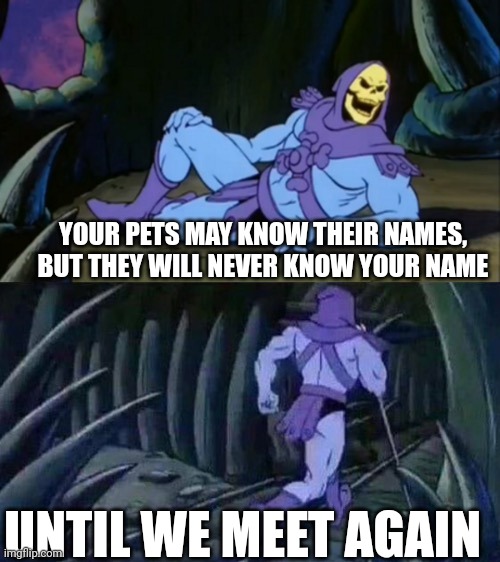 Skeletor disturbing facts | YOUR PETS MAY KNOW THEIR NAMES, BUT THEY WILL NEVER KNOW YOUR NAME; UNTIL WE MEET AGAIN | image tagged in skeletor disturbing facts,pets,disturbing memes,funny,skeletor,memes | made w/ Imgflip meme maker