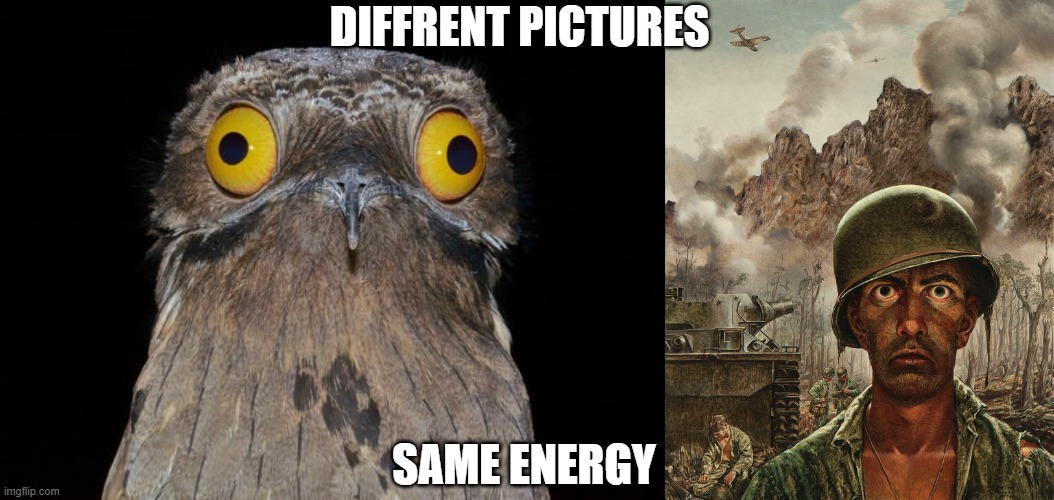 same energy | DIFFRENT PICTURES; SAME ENERGY | image tagged in thousand yard stare | made w/ Imgflip meme maker