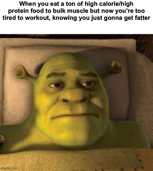 Shrek waking up | When you eat a ton of high calorie/high protein food to bulk muscle but now you’re too tired to workout, knowing you just gonna get fatter | image tagged in shrek waking up | made w/ Imgflip meme maker