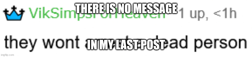 THERE IS NO MESSAGE; IN MY LAST POST | image tagged in they won't arrest a dead person | made w/ Imgflip meme maker