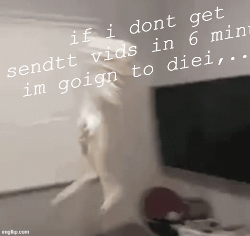 https://imgflip.com/i/99nkqx | if i dont get sendtt vids in 6 minutes im goign to diei,..,.i | made w/ Imgflip meme maker