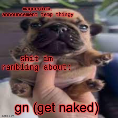 I’m not going to sleep tho | gn (get naked) | image tagged in pug temp | made w/ Imgflip meme maker