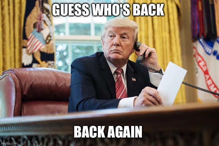 Daddy's home | GUESS WHO'S BACK; BACK AGAIN | image tagged in donald trump | made w/ Imgflip meme maker