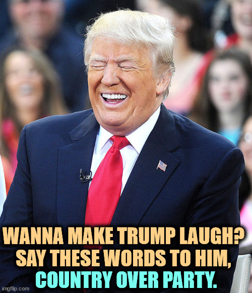 Not a patriot. | WANNA MAKE TRUMP LAUGH? SAY THESE WORDS TO HIM, COUNTRY OVER PARTY. | image tagged in trump laughing,trump,country,party,patriot,dope | made w/ Imgflip meme maker