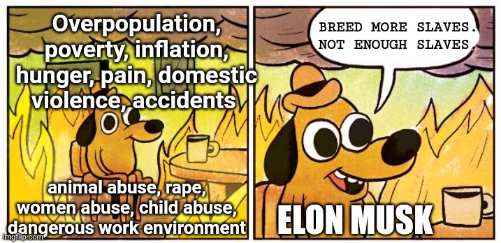 Elon musk memes | BREED MORE SLAVES. NOT ENOUGH SLAVES. Overpopulation, poverty, inflation, hunger, pain, domestic violence, accidents; animal abuse, rape, women abuse, child abuse, dangerous work environment; ELON MUSK | image tagged in memes,this is fine | made w/ Imgflip meme maker