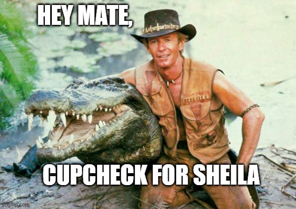 Crocodile Dundee Paul Hogan | HEY MATE, CUPCHECK FOR SHEILA | image tagged in crocodile dundee paul hogan | made w/ Imgflip meme maker