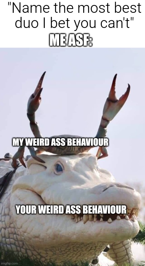 If you feeling down, remember, I got your back bro | "Name the most best duo I bet you can't"; ME ASF:; MY WEIRD ASS BEHAVIOUR; YOUR WEIRD ASS BEHAVIOUR | image tagged in blank white template,crab on crocodile | made w/ Imgflip meme maker