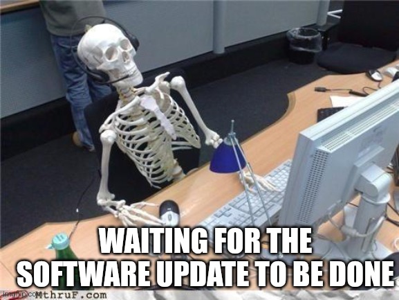 It takes kinda long | WAITING FOR THE SOFTWARE UPDATE TO BE DONE | image tagged in waiting skeleton | made w/ Imgflip meme maker