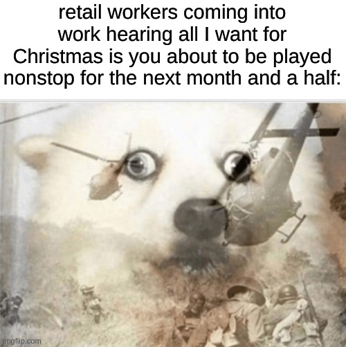 it's that time of year again | retail workers coming into work hearing all I want for Christmas is you about to be played nonstop for the next month and a half: | image tagged in ptsd dog,memes,funny,christmas | made w/ Imgflip meme maker