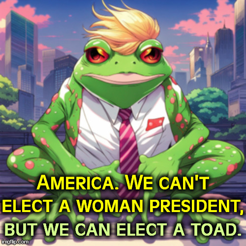 America. We can't elect a woman president, but we can elect a toad. | image tagged in america,woman,president,trump,toad,kamala harris | made w/ Imgflip meme maker