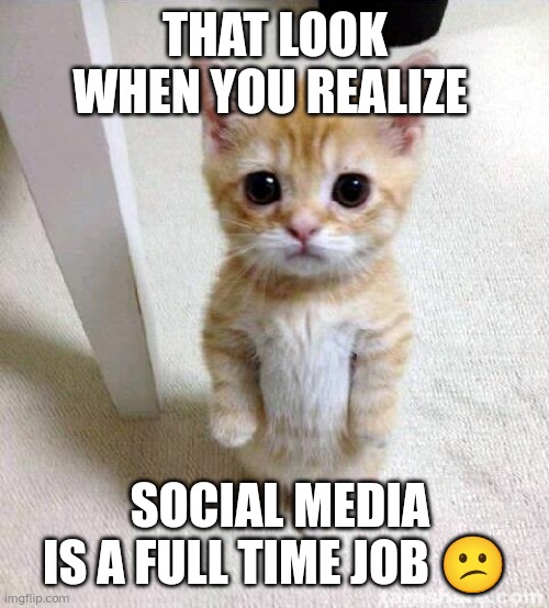 Cute Cat | THAT LOOK WHEN YOU REALIZE; SOCIAL MEDIA IS A FULL TIME JOB 😕 | image tagged in memes,cute cat | made w/ Imgflip meme maker