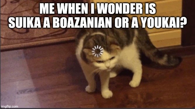 Error cat | ME WHEN I WONDER IS SUIKA A BOAZANIAN OR A YOUKAI? | image tagged in error cat | made w/ Imgflip meme maker