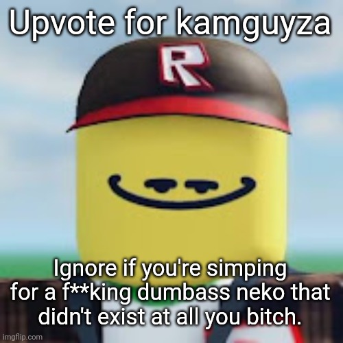 RAGEBAIT TIME | Upvote for kamguyza; Ignore if you're simping for a f**king dumbass neko that didn't exist at all you bitch. | image tagged in kamguyza,lol,ragebait | made w/ Imgflip meme maker