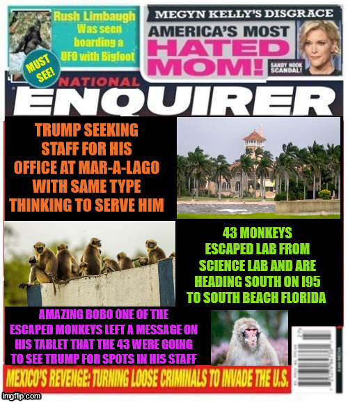 National Enquirer Trump seeks staff | image tagged in national enquirer trump seeks staff,43 monkeys escape,mar-a-lago meetings,bannana republic,maga monkey,poop flinger winner | made w/ Imgflip meme maker