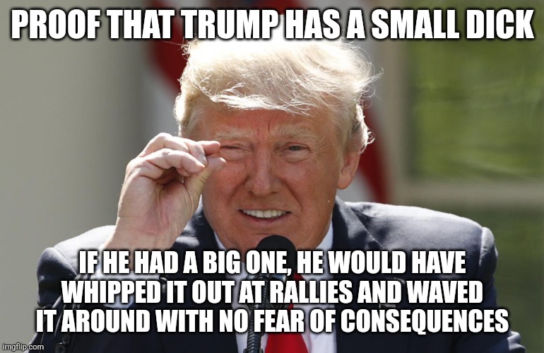 Trump small dick proof | PROOF THAT TRUMP HAS A SMALL DICK; IF HE HAD A BIG ONE, HE WOULD HAVE
 WHIPPED IT OUT AT RALLIES AND WAVED 
IT AROUND WITH NO FEAR OF CONSEQUENCES | image tagged in trump small dick | made w/ Imgflip meme maker