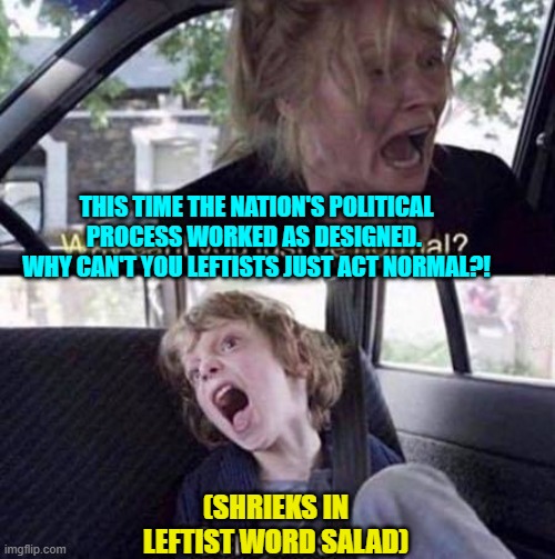 Yeah that's how the political Left is starting to react. | THIS TIME THE NATION'S POLITICAL PROCESS WORKED AS DESIGNED.  WHY CAN'T YOU LEFTISTS JUST ACT NORMAL?! (SHRIEKS IN LEFTIST WORD SALAD) | image tagged in why can't you just be normal | made w/ Imgflip meme maker