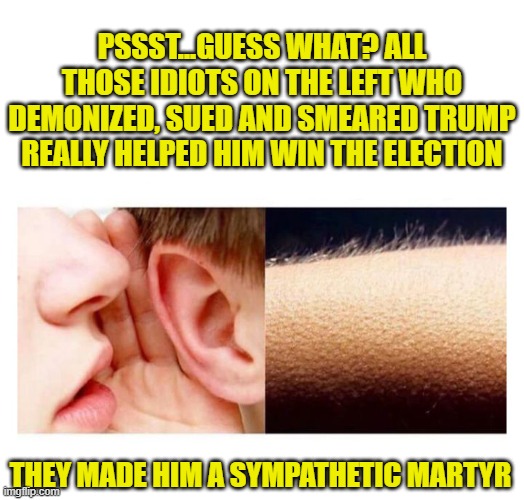 Trump Derangement Syndrome isn't alll bad. | PSSST...GUESS WHAT? ALL THOSE IDIOTS ON THE LEFT WHO DEMONIZED, SUED AND SMEARED TRUMP REALLY HELPED HIM WIN THE ELECTION; THEY MADE HIM A SYMPATHETIC MARTYR | image tagged in liberals,woke,democrats,biased media,leftists,donald trump | made w/ Imgflip meme maker