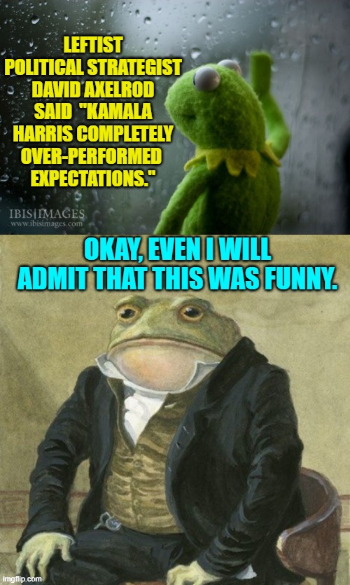 These leftists just being themselves are absolutely killing it . . . humor wise. | LEFTIST POLITICAL STRATEGIST DAVID AXELROD SAID  "KAMALA HARRIS COMPLETELY OVER-PERFORMED 
EXPECTATIONS."; OKAY, EVEN I WILL ADMIT THAT THIS WAS FUNNY. | image tagged in kermit window | made w/ Imgflip meme maker