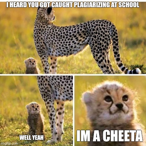 XD | I HEARD YOU GOT CAUGHT PLAGIARIZING AT SCHOOL; IM A CHEETA; WELL YEAH | image tagged in cheetah mom with scared cub,too funny,lol,xd | made w/ Imgflip meme maker