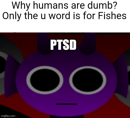 Durple Stare at you (without text) | Why humans are dumb? Only the u word is for Fishes; PTSD | image tagged in durple stare at you without text | made w/ Imgflip meme maker