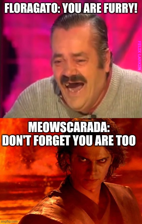 Some guy: I don't like meowscarada becuse it is a furry | FLORAGATO: YOU ARE FURRY! MEOWSCARADA: DON'T FORGET YOU ARE TOO | image tagged in laughter,memes,you underestimate my power,bruh | made w/ Imgflip meme maker