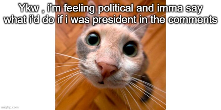 Silly Goober | Ykw , i'm feeling political and imma say what i'd do if i was president in the comments | image tagged in silly goober | made w/ Imgflip meme maker