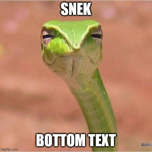 Snek Blank | SNEK BOTTOM TEXT | image tagged in snek blank | made w/ Imgflip meme maker