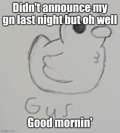 Gus The Duck | Didn't announce my gn last night but oh well; Good mornin' | image tagged in gus the duck | made w/ Imgflip meme maker