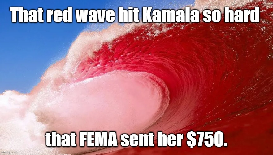 That red wave hit Kamala so hard that FEMA sent her $750. | That red wave hit Kamala so hard; that FEMA sent her $750. | image tagged in memes,funny,politics,kamala harris,donald trump,funny memes | made w/ Imgflip meme maker