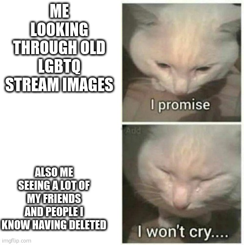 This is why the remembrance rule is my favourite | ME LOOKING THROUGH OLD LGBTQ STREAM IMAGES; ALSO ME SEEING A LOT OF MY FRIENDS AND PEOPLE I KNOW HAVING DELETED | image tagged in i promise i won't cry | made w/ Imgflip meme maker