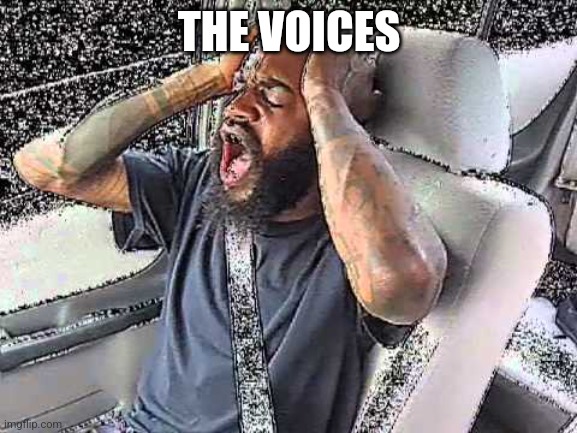 Death Grips Static | THE VOICES | image tagged in death grips static | made w/ Imgflip meme maker