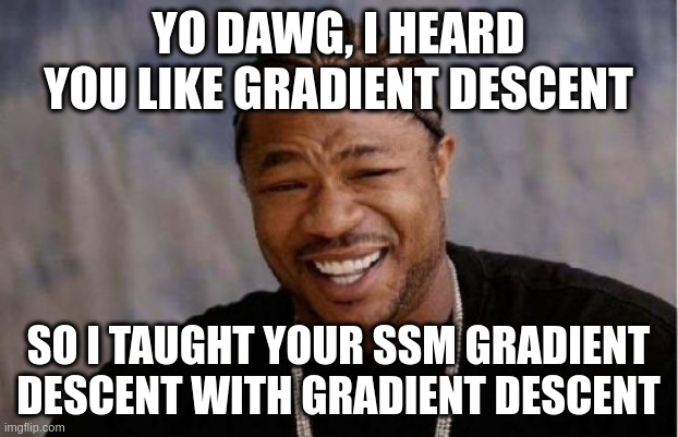 Yo Dawg Heard You Meme | YO DAWG, I HEARD YOU LIKE GRADIENT DESCENT; SO I TAUGHT YOUR SSM GRADIENT DESCENT WITH GRADIENT DESCENT | image tagged in memes,yo dawg heard you | made w/ Imgflip meme maker