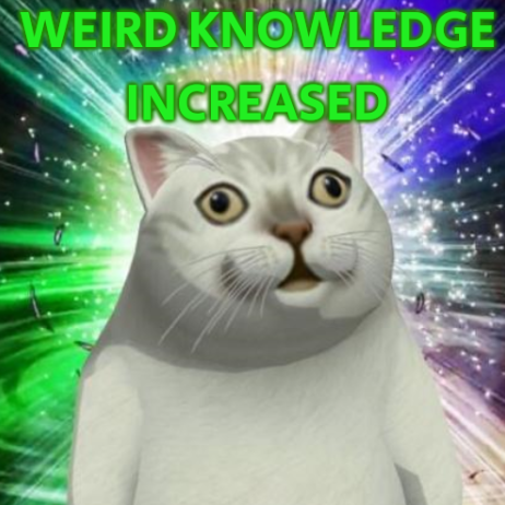 weird knowledge increased Blank Meme Template