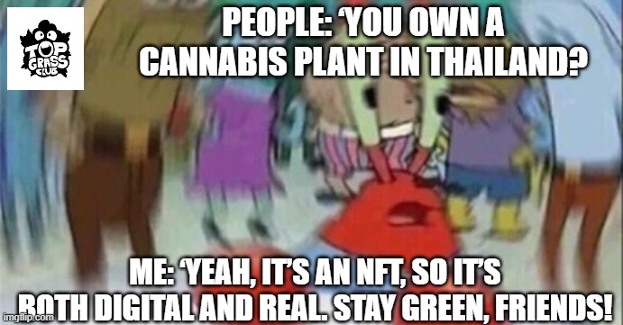 Confused Mr. Krab | PEOPLE: ‘YOU OWN A CANNABIS PLANT IN THAILAND? ME: ‘YEAH, IT’S AN NFT, SO IT’S BOTH DIGITAL AND REAL. STAY GREEN, FRIENDS! | image tagged in confused mr krab | made w/ Imgflip meme maker