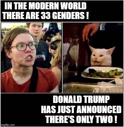 I've Had Enough Of All This Wokeness ! | IN THE MODERN WORLD THERE ARE 33 GENDERS ! DONALD TRUMP HAS JUST ANNOUNCED THERE'S ONLY TWO ! | image tagged in genders,2 genders,woke,politics | made w/ Imgflip meme maker