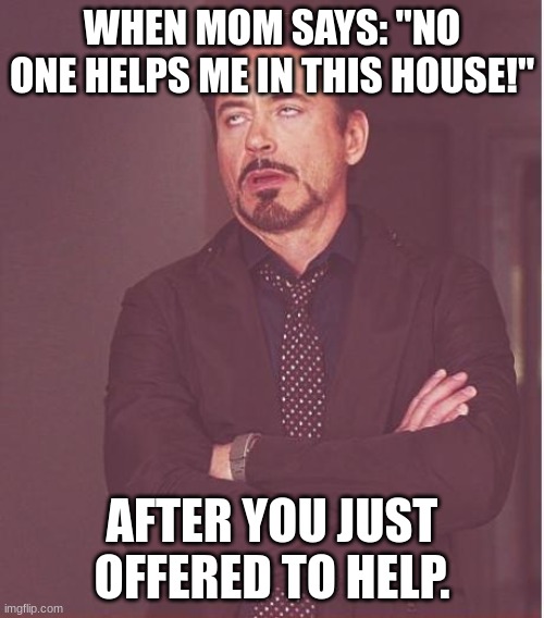 Mom. | WHEN MOM SAYS: "NO ONE HELPS ME IN THIS HOUSE!"; AFTER YOU JUST OFFERED TO HELP. | image tagged in memes,face you make robert downey jr | made w/ Imgflip meme maker