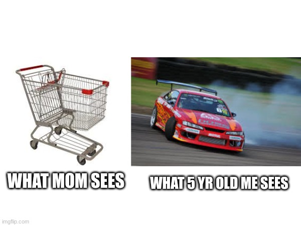 Can you relate | WHAT MOM SEES; WHAT 5 YR OLD ME SEES | image tagged in shopping cart | made w/ Imgflip meme maker