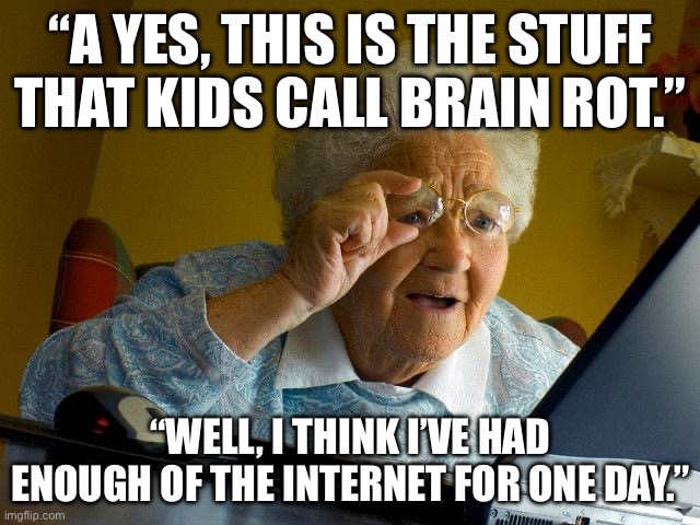 Sorry, Grandma! | “A YES, THIS IS THE STUFF THAT KIDS CALL BRAIN ROT.”; “WELL, I THINK I’VE HAD ENOUGH OF THE INTERNET FOR ONE DAY.” | image tagged in memes,grandma finds the internet | made w/ Imgflip meme maker