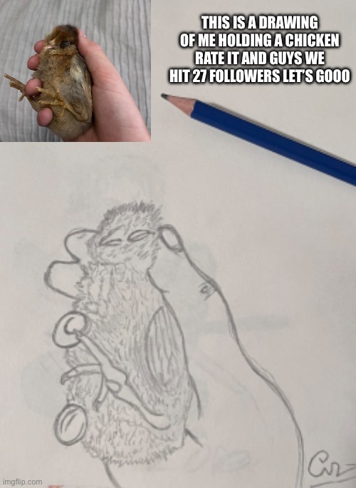 Rate my drawing | THIS IS A DRAWING OF ME HOLDING A CHICKEN RATE IT AND GUYS WE HIT 27 FOLLOWERS LET’S GOOO | made w/ Imgflip meme maker