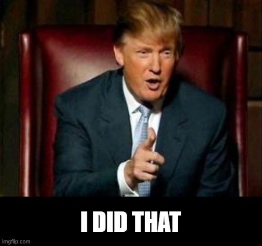 Donald Trump | I DID THAT | image tagged in donald trump | made w/ Imgflip meme maker