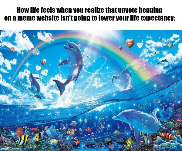 Mfs be raging about clicking a damn button. | How life feels when you realize that upvote begging on a meme website isn't going to lower your life expectancy: | image tagged in happy dolphin rainbow,ragebait | made w/ Imgflip meme maker