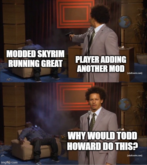 Why would they do this | MODDED SKYRIM RUNNING GREAT; PLAYER ADDING ANOTHER MOD; WHY WOULD TODD HOWARD DO THIS? | image tagged in why would they do this | made w/ Imgflip meme maker