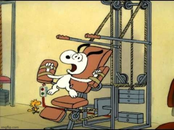 When the guys at the gym call me dawg but this is the only kind of dawg I feel like | image tagged in snoopy,peanuts,charlie brown,gym,workout,torture | made w/ Imgflip meme maker