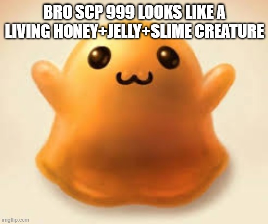 he looks like that | BRO SCP 999 LOOKS LIKE A LIVING HONEY+JELLY+SLIME CREATURE | image tagged in scp-999 | made w/ Imgflip meme maker