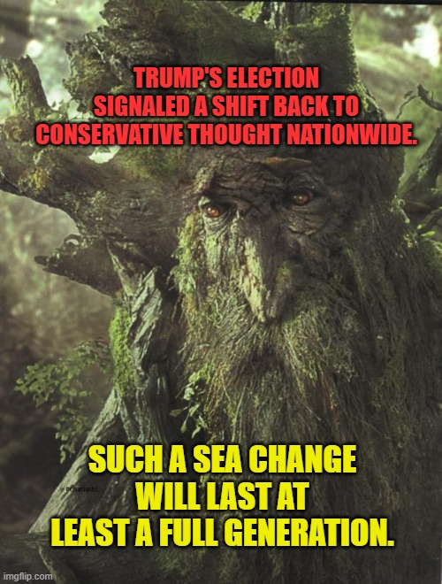 Tree Beard | TRUMP'S ELECTION SIGNALED A SHIFT BACK TO CONSERVATIVE THOUGHT NATIONWIDE. SUCH A SEA CHANGE WILL LAST AT LEAST A FULL GENERATION. | image tagged in tree beard | made w/ Imgflip meme maker