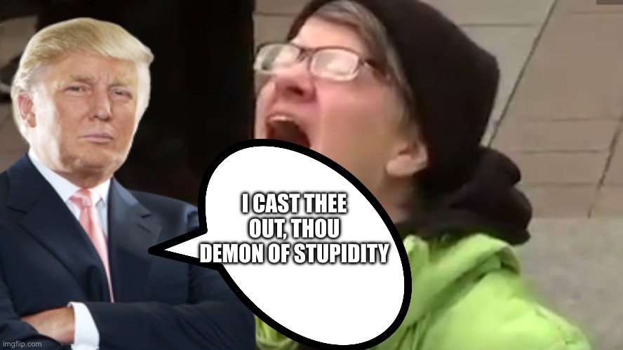 Screaming Liberal  | I CAST THEE OUT, THOU DEMON OF STUPIDITY | image tagged in screaming liberal | made w/ Imgflip meme maker