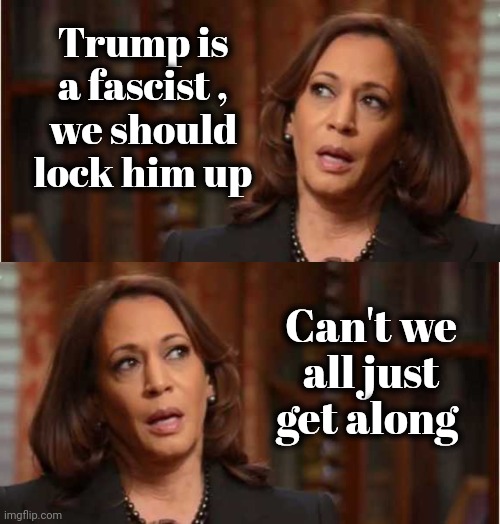 Before and after | Trump is a fascist ,
we should lock him up; Can't we all just get along | image tagged in kamala harris,tds,unity,alright gentlemen we need a new idea,may god forgive you but i won't | made w/ Imgflip meme maker