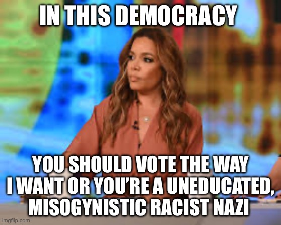 Democracy | IN THIS DEMOCRACY; YOU SHOULD VOTE THE WAY I WANT OR YOU’RE A UNEDUCATED, MISOGYNISTIC RACIST NAZI | image tagged in sunny hostin,politics,political meme,democrats,democracy,racist | made w/ Imgflip meme maker